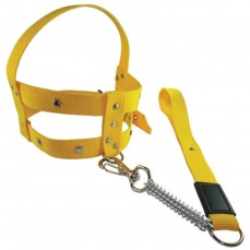 13196 - CONJ GUIA PEITORAL LONA C/ MOLA N  05