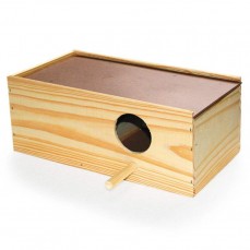 13106 - NINHO KPET PINUS CALOPSITA