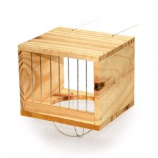 13107 - NINHO KPET PINUS CANARIO DO REINO