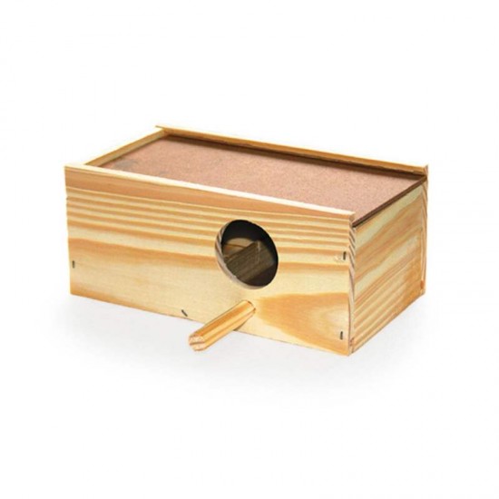 NINHO KPET PINUS PERIQUITO