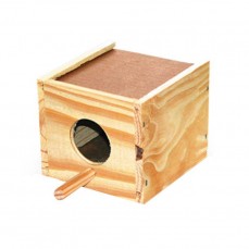 13109 - NINHO KPET PINUS MANON