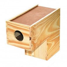 13110 - NINHO KPET PINUS CANARIO DA TERRA