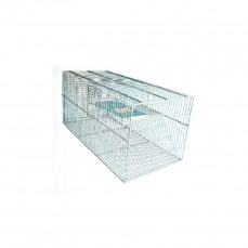 13604 - RATOEIRA G  (28)