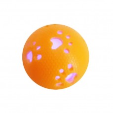 13888 - MORDEDOR PET COM LUZES (M-107)