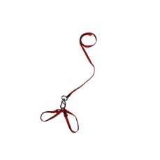 14426 - CONJ GUIA PEITORAL PARA HAMSTER