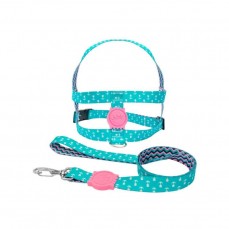 14625 - CONJ GUIA PEITORAL POP SEDA P (15MM)