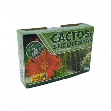 15793 - CACTOS E SUCULENTAS CAIXA 30G
