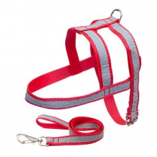 15618 - CONJ GUIA E PEITORAL REFLETIVO FEMEA G