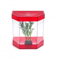 14846 - BETEIRA PLASTICA COM ENFEITE VERMELHA