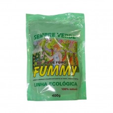 1869 - FUMMY 400G (PO DE FUMO)