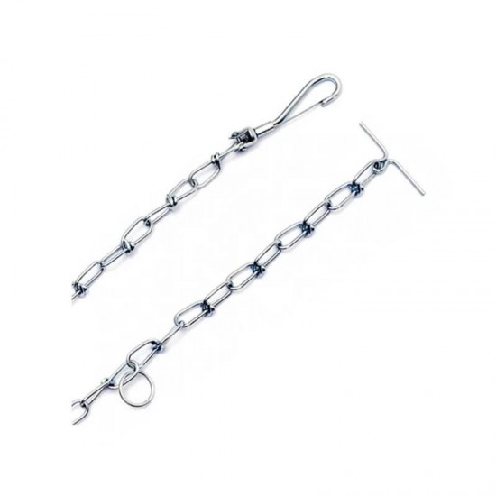 CORRENTE CAES S. RAPHAEL N  0 PCT C/ 6