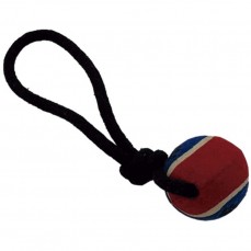 16195 - BRINQ CORDA SAVANA LUX C/BOL AZ (DOG240)