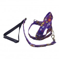 16303 - CONJ GUIA PEIT LONA LUXO PORTE G N  06