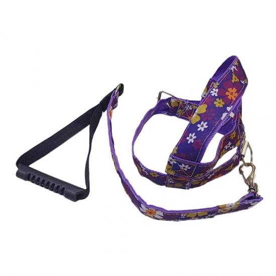 CONJ GUIA PEIT LONA LUXO PORTE G N  06