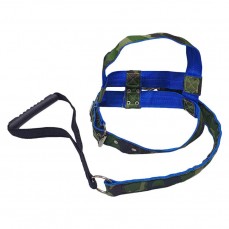 16306 - CONJ GUIA PEIT LONA LUXO PORTE G N  09