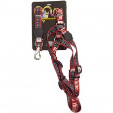 17319 - CONJ GUIA PEIT AMERICANA REDE SOCIAL  GG