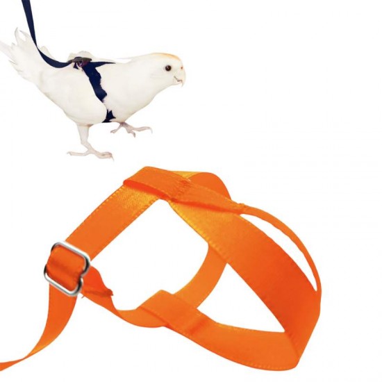 GUIA PEITORAL P/ AVES LARANJA