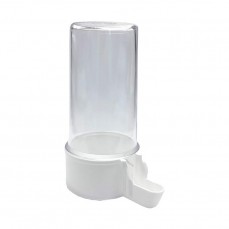 20556 - BEBED ITALIANO TRANS M F PCT C/6