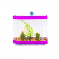 17860 - BETEIRA C3 PENTAGONO DECORADA +