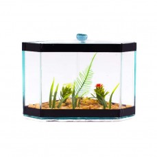 17861 - BETEIRA C3 CANTO DECORADA +