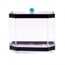 17864 - BETEIRA C3 PENTAGONO