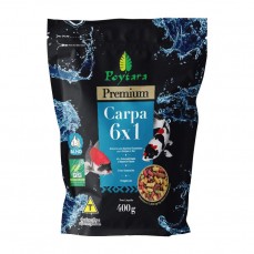 18107 - RACAO CARPA 6X1 POYTARA 400G