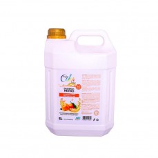 20996 - SHAMPOO DREAM COLOR TANGERINA 5L