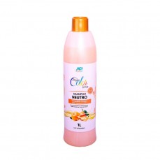 21000 - SHAMPOO DREAM COLOR TANGERINA 1L