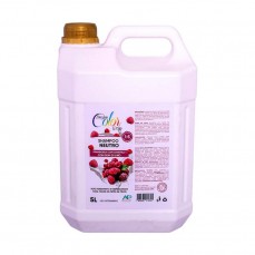 20995 - SHAMPOO DREAM COLOR FRAMBOESA C/CHANT 5L