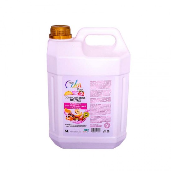 COND DREAM COLOR TUTTI FRUTTI 5L
