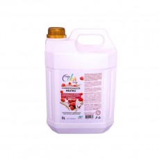 21003 - COND DREAM COLOR FRAMBOESA C/CHANT 5L