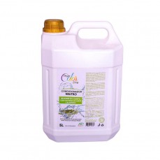 21005 - COND DREAM COLOR ALECRIM 5L