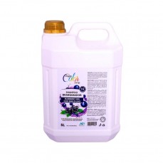 20994 - SHAMPOO DREAM COLOR BRANQUEADOR 5L