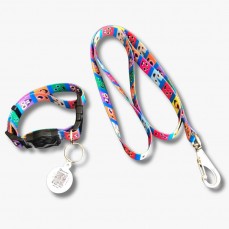 21180 - CONJ GUIA SEDA IDENTIFIC G