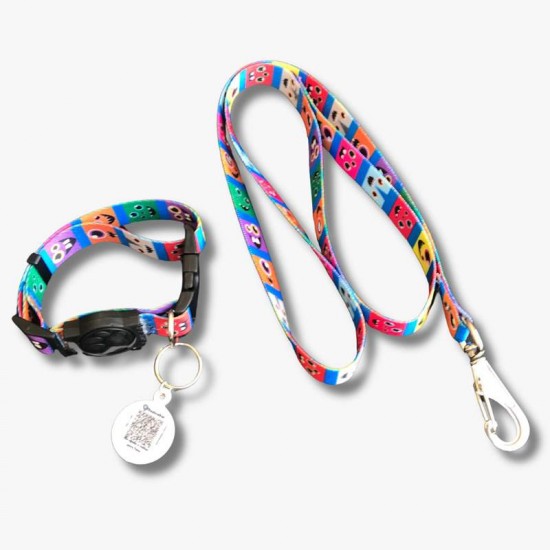 CONJ GUIA SEDA IDENTIFIC G