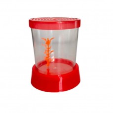 21198 - BETEIRA NANO VERMELHA