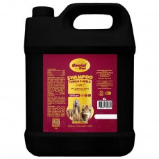 18327 - SHAMPOO GENIAL CEREJA E AVELA 5L