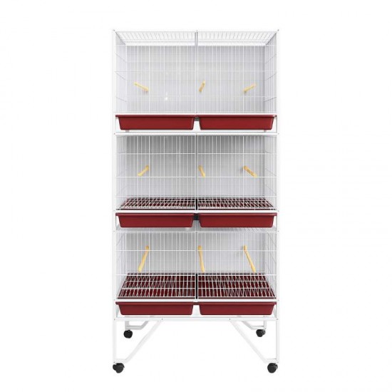 Z EXPOSITOR P/  PASSAROS C/ 6 DIV(49A)