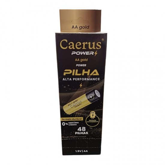DISPLAY PILHA POWER AA GOLD C/12