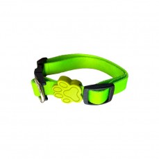 22150 - COLEIRA NEON P 40CM VERDE