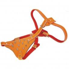 131 - PEITORAL PIT BULL COM CRAVO