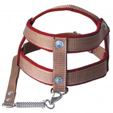 312 - CONJ GUIA PEITORAL PIT BULL GR