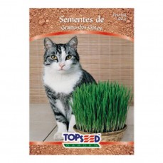 4198 - SEMENTE GRAMA DOS GATOS C/ 20