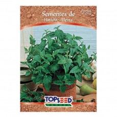 4168 - SEMENTE HORTELA C/ 20