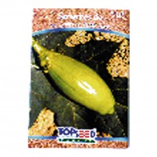 2089 - SEMENTE JILO COMPRIDO VERDE CLARO C/ 20