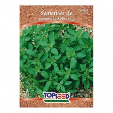 4169 - SEMENTE MANJERICAO FOLHA FINA C/ 20