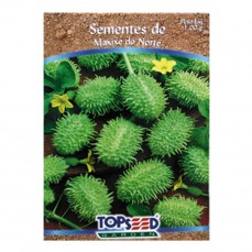 2091 - SEMENTE MAXIXE DO NORTE C/ 20