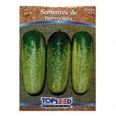 2095 - SEMENTE PEPINO CAIPIRA C/ 20