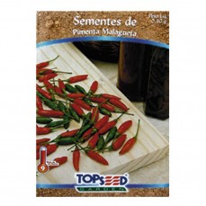 2097 - SEMENTE PIMENTA MALAGUETA C/ 20