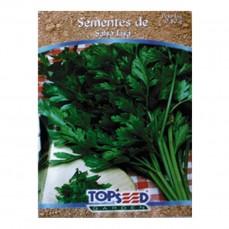 2104 - SEMENTE SALSA LISA C/ 20